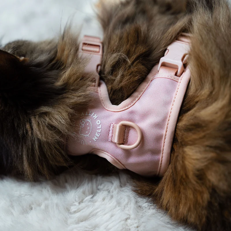 EXPLORER Katzengeschirr - Hello Kitty Edition