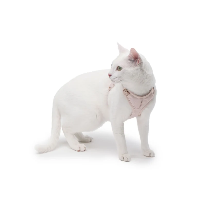 EXPLORER Katzengeschirr - Hello Kitty Edition