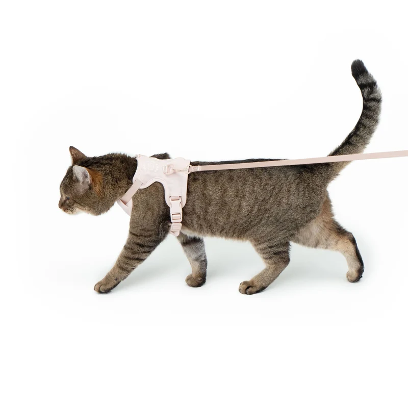 EXPLORER Katzengeschirr - Hello Kitty Edition