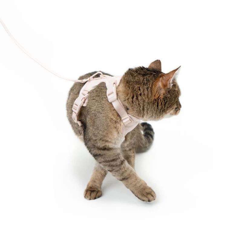 EXPLORER Katzengeschirr - Hello Kitty Edition