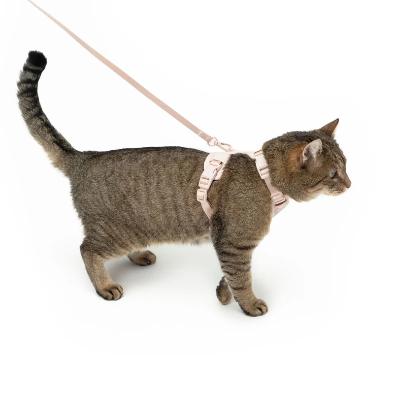 EXPLORER Katzengeschirr - Hello Kitty Edition