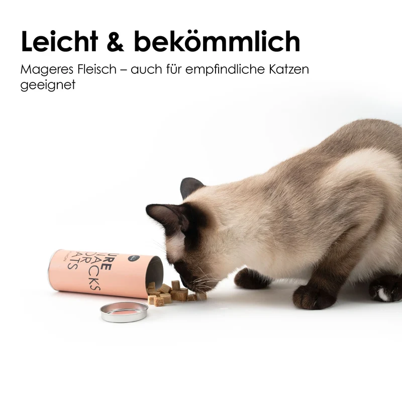 PURE Katzensnacks 6er Bundle