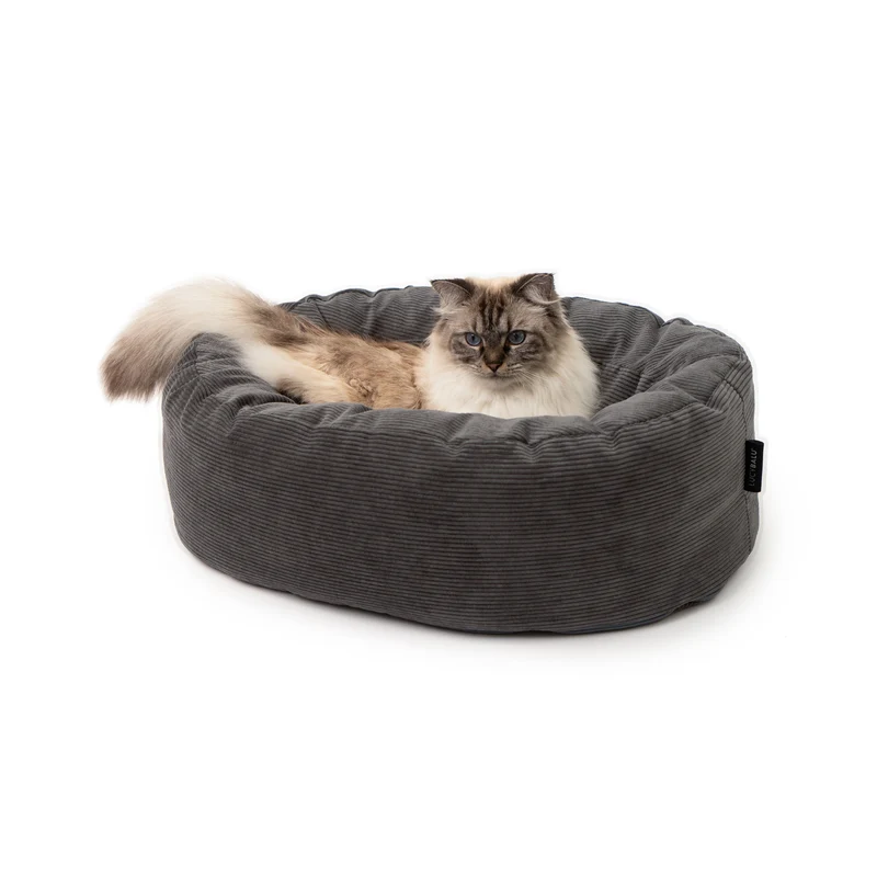 Katzenbett & Spielzeug Set