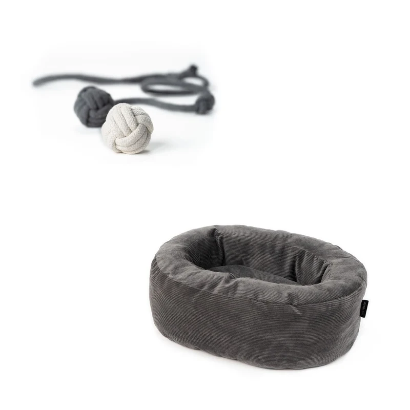 Katzenbett & Spielzeug Set