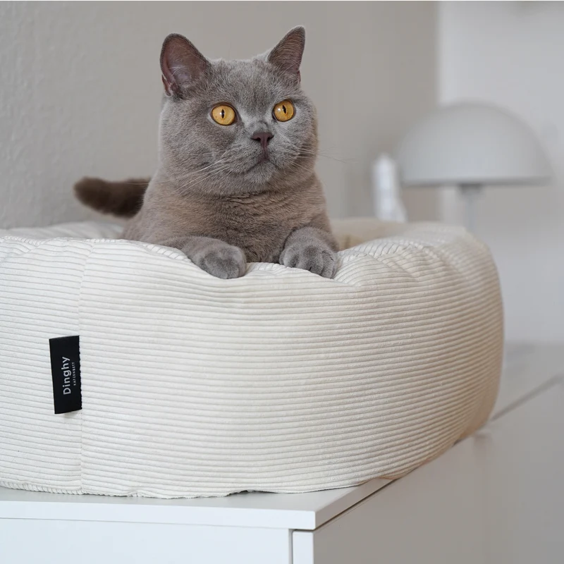 Katzenbett & Fusselbürste Set