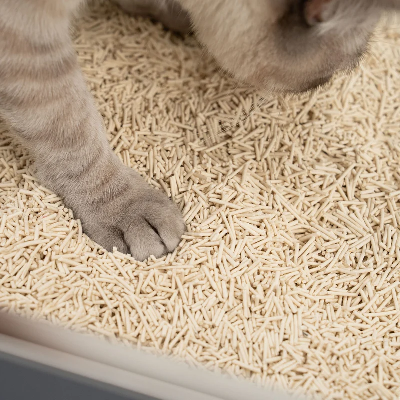 TOFU Katzenstreu