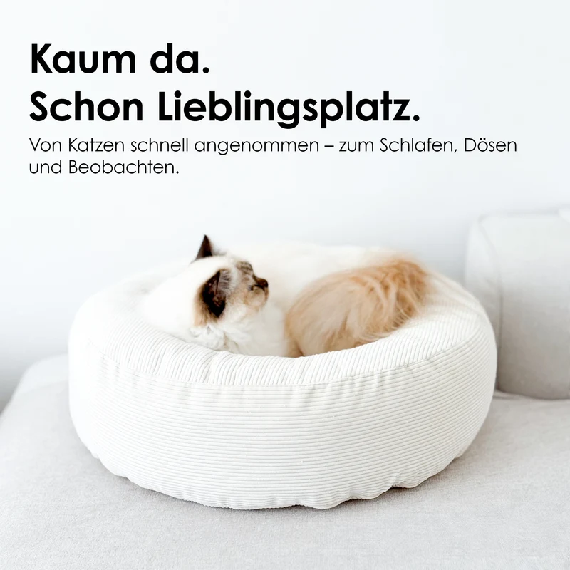 NEST Katzenbett