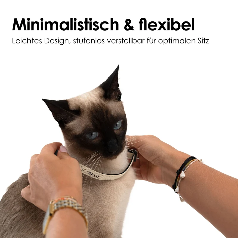 WILLY Katzenhalsband mit Namenskapsel