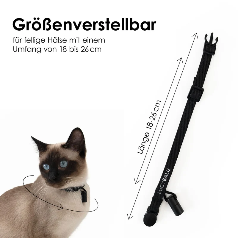WILLY Katzenhalsband mit Namenskapsel