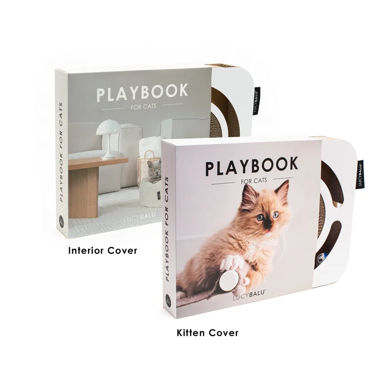 PLAYBOOK Interaktives Spielzeug