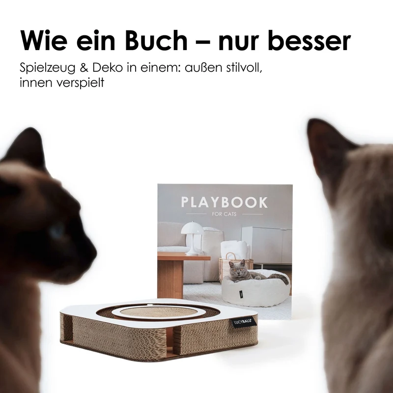 PLAYBOOK Interaktives Spielzeug