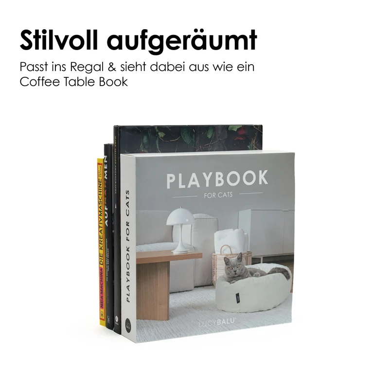 PLAYBOOK Interaktives Spielzeug