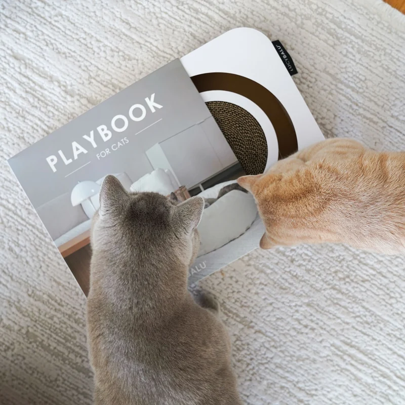 PLAYBOOK Interaktives Spielzeug