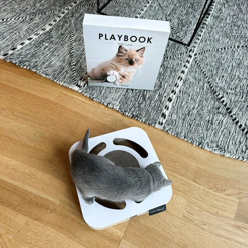 PLAYBOOK Interaktives Spielzeug