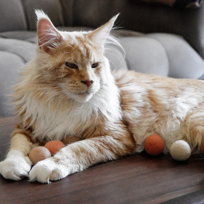 FUZZY PEACH Filzbälle