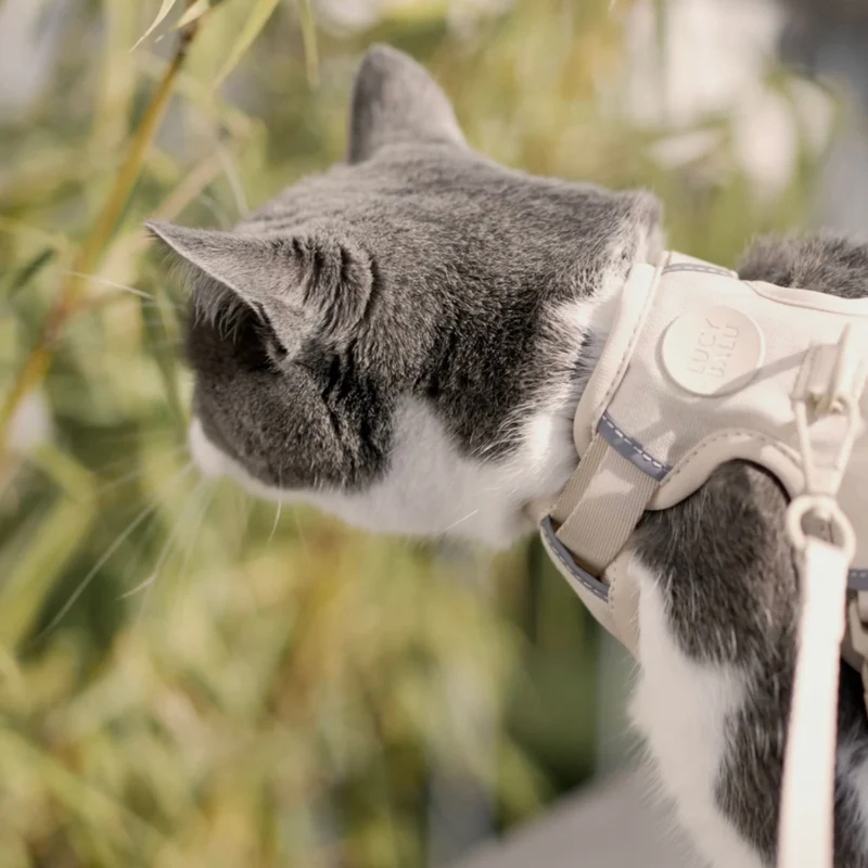 EXPLORER Katzengeschirr