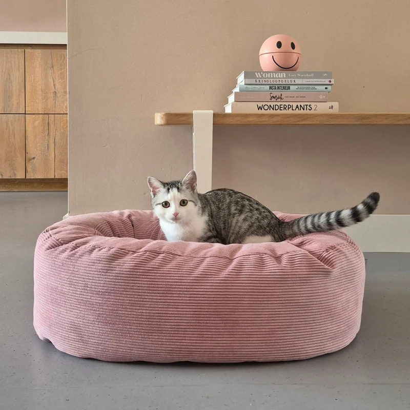 DINGHY Katzenbett