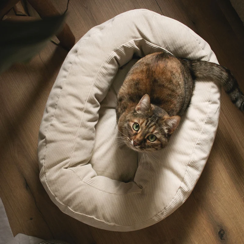 DINGHY Katzenbett