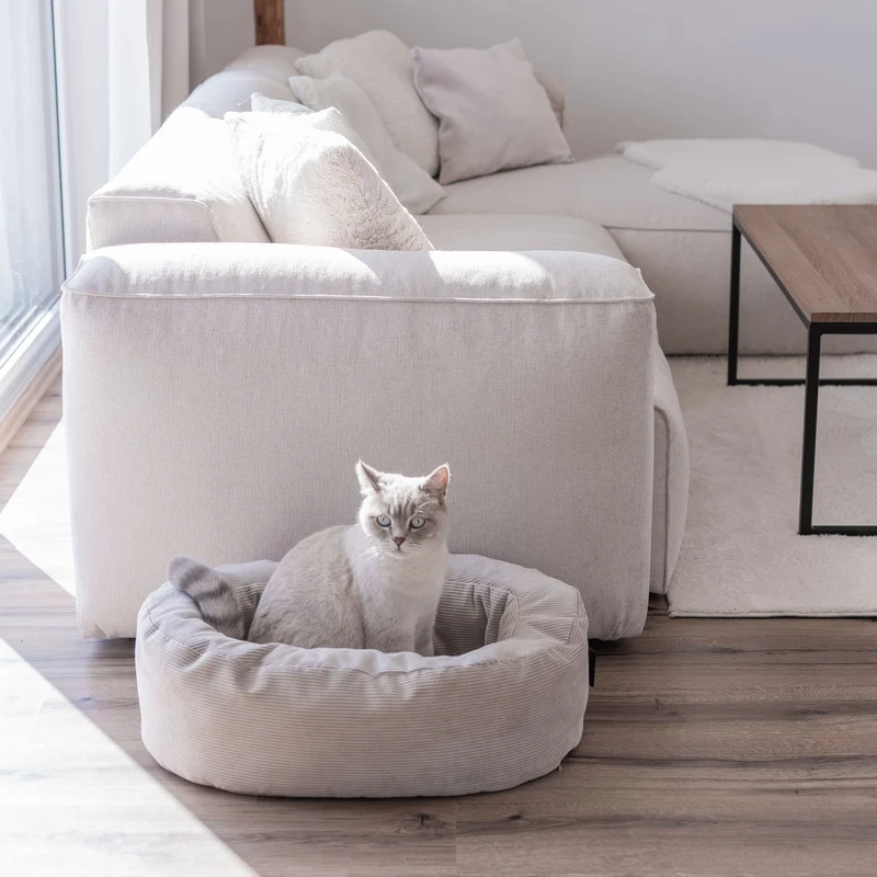 DINGHY Katzenbett