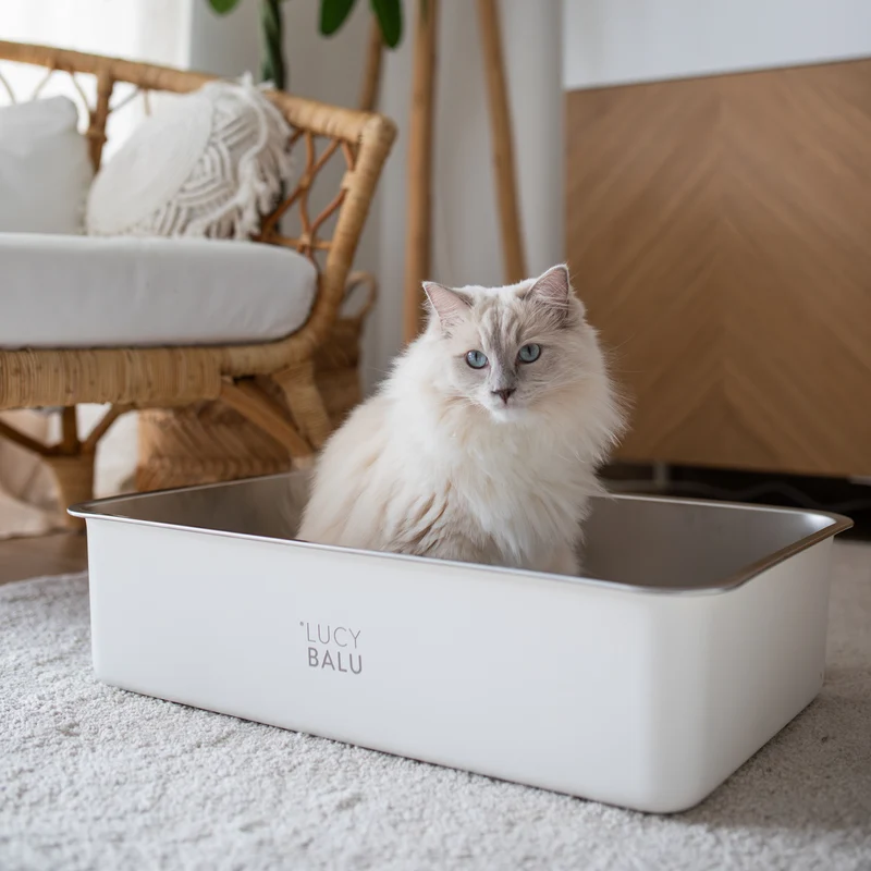 STEELOO Katzentoilette