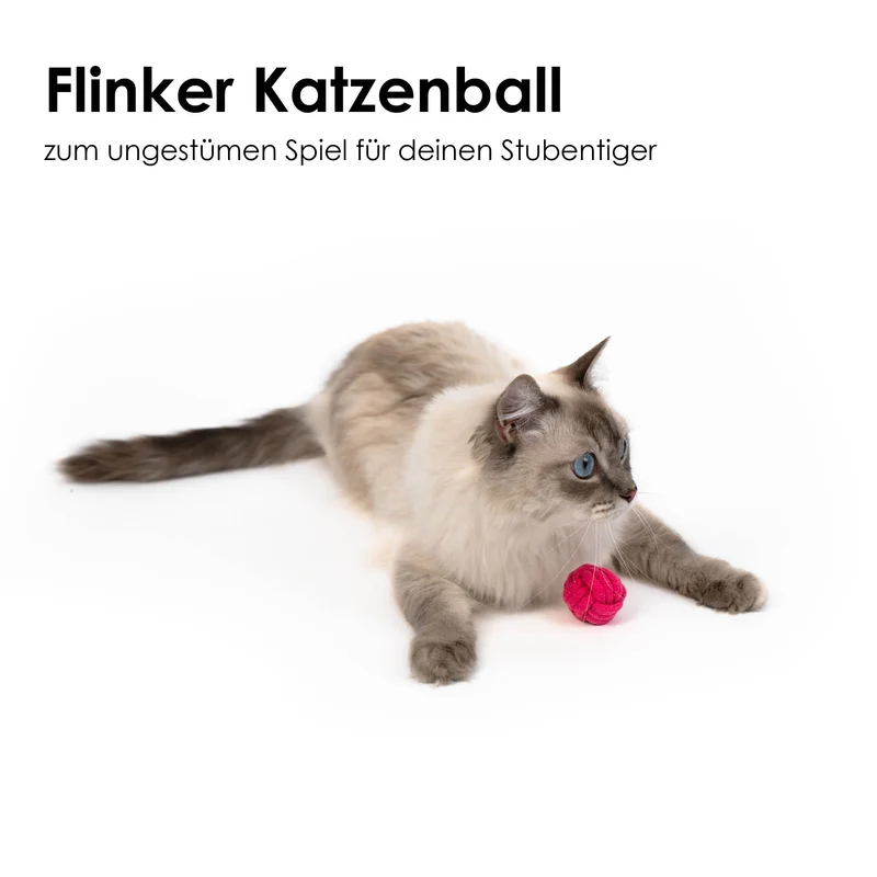 KNOT BALLS Wurfspielzeug
