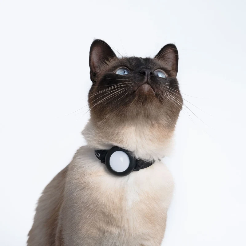 DORI AirTag Katzenhalsband (Nylon)
