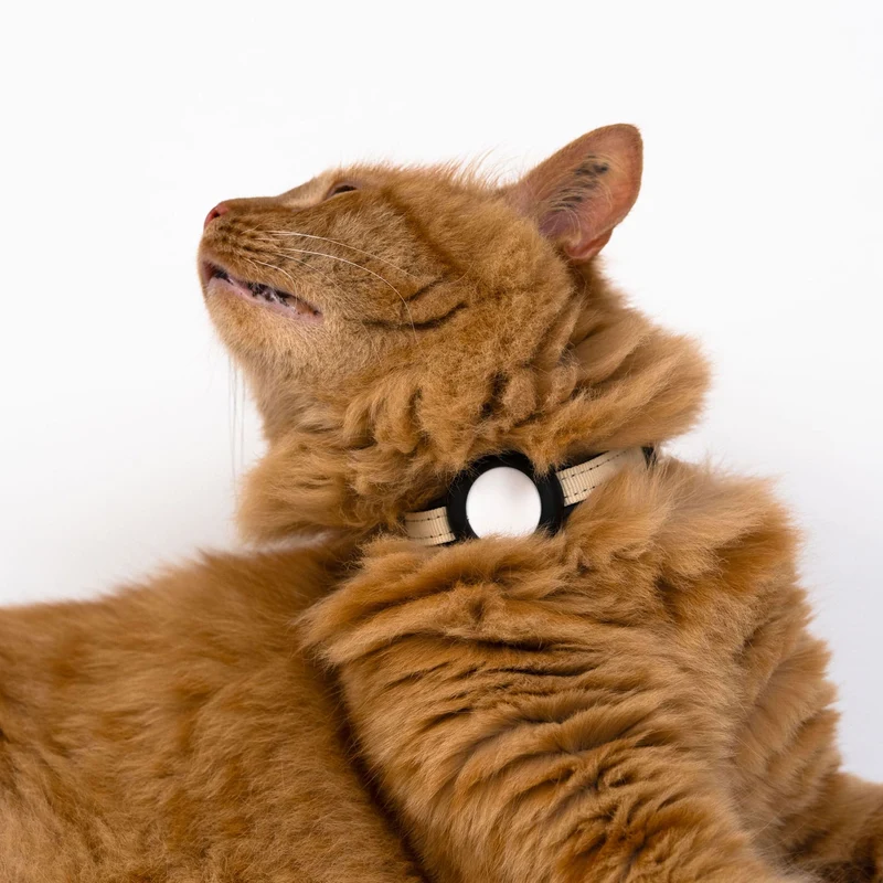 DORI AirTag Katzenhalsband (Nylon)