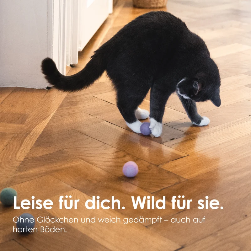 RAINBOW BALLS Filzbälle