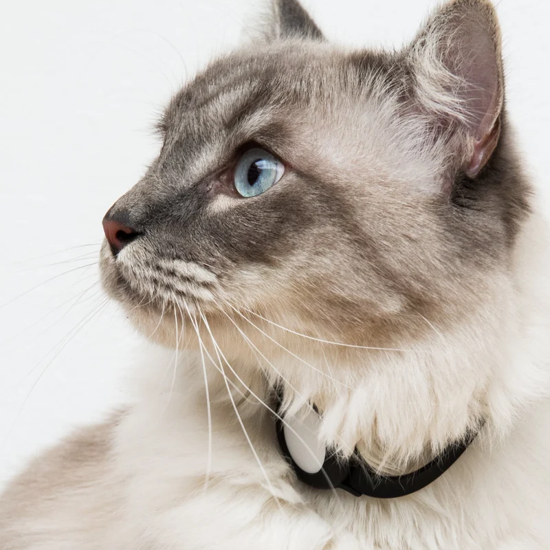 NEMO AirTag Katzenhalsband (Silikon)