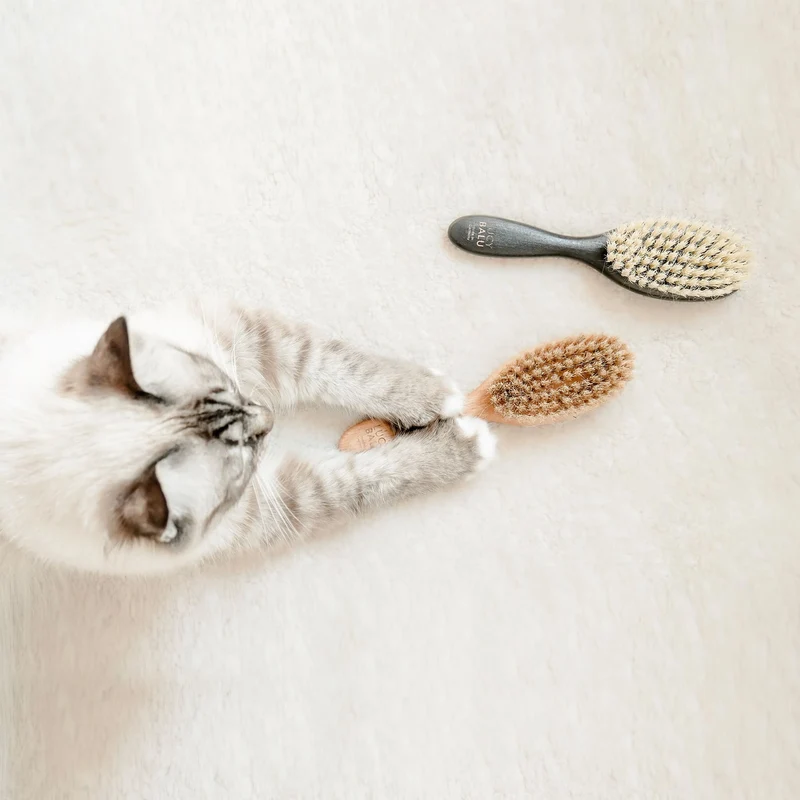 FIGARO Katzenbürste