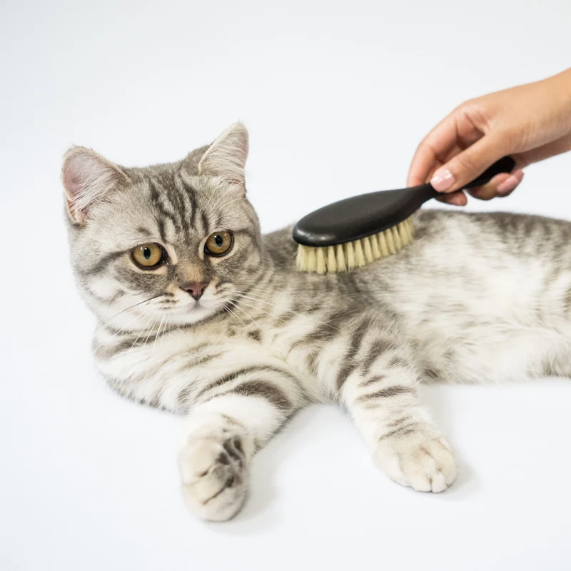 FIGARO Katzenbürste