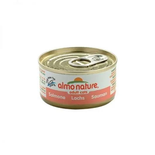 Almo Nature HFC Jelly Lachs – 24x70g
