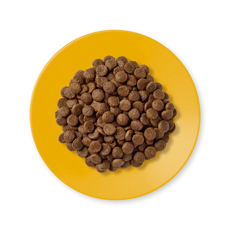 Applaws Chicken Adult Dry Cat Food 2KG