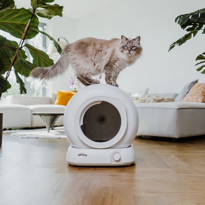 Poopy Nova Pro - Polar White