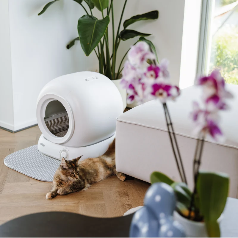 Poopy Nova Pro - Polar White