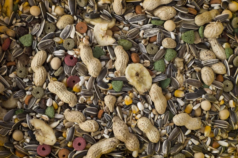 Farma Parrot Special Mix Bird Food 800g