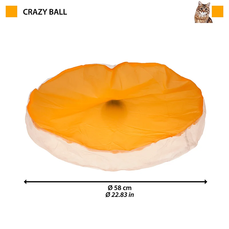 CRAZY BALL