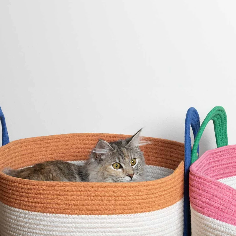 D&D Home Binge Basket Cat Bed