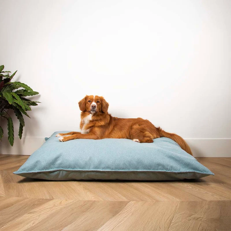 D&D Home Eden Pillow Dog Bed Ocean 100x70x10cm