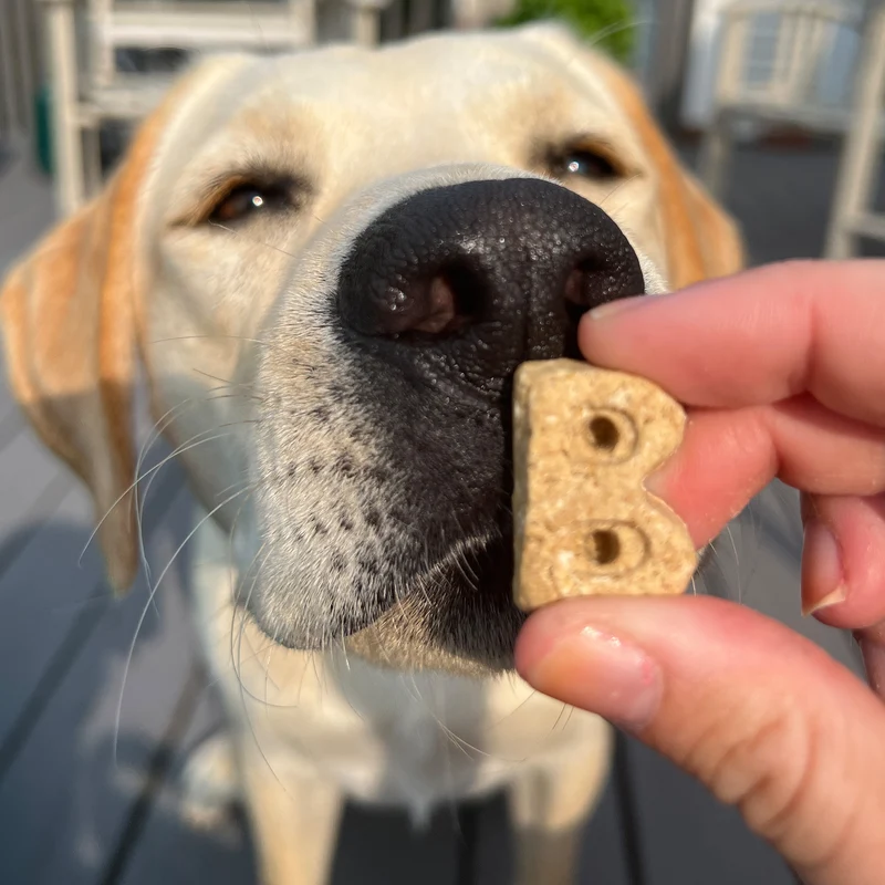Bocce's Bakery Burgers & Fries Biscuits Dog Treat 5oz