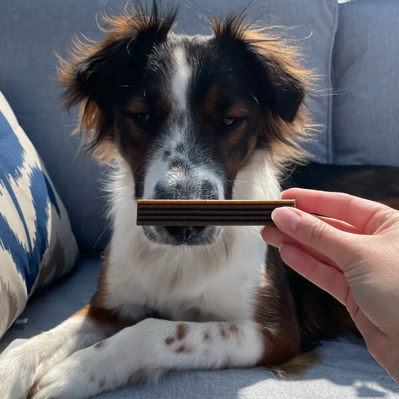 Bocce's Bakery Brushy Sticks Dental Bars