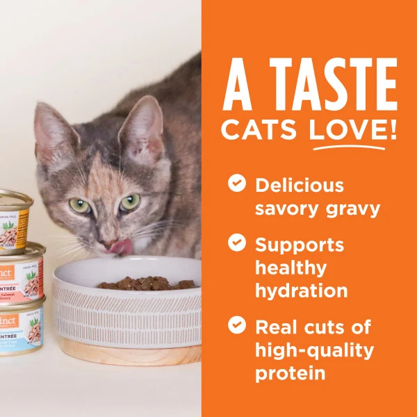 Instinct Flaked Salmon Entree Wet Cat Food 3oz