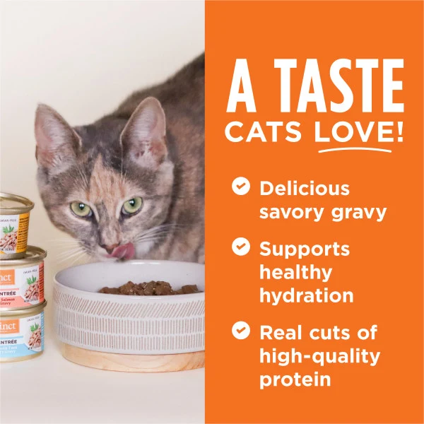 Instinct Flaked Lamb Entree Wet Cat Food 3oz