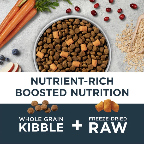 Instinct Raw Boost Whole Grain Gut Health Recipe Chicken Dry Dog Food 3.5lb