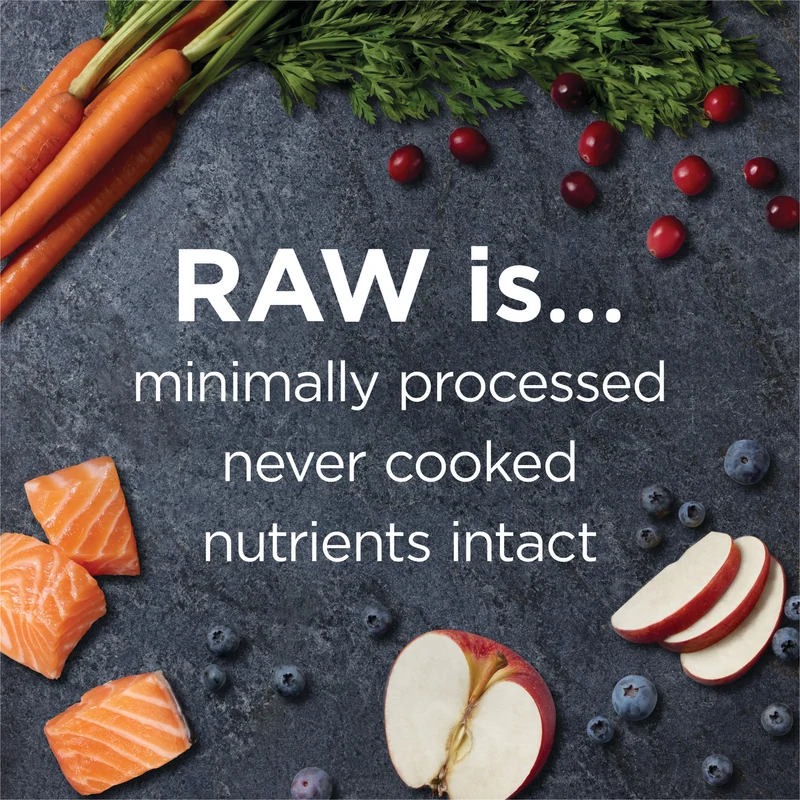 Instinct Raw Boost Grain Free Real Salmon Dry Dog Food 3.5lb
