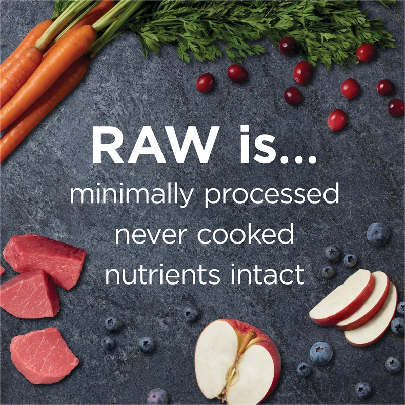 Instinct Raw Boost Grain Free Real Beef Small Breed Dry Dog Food 3.5lb