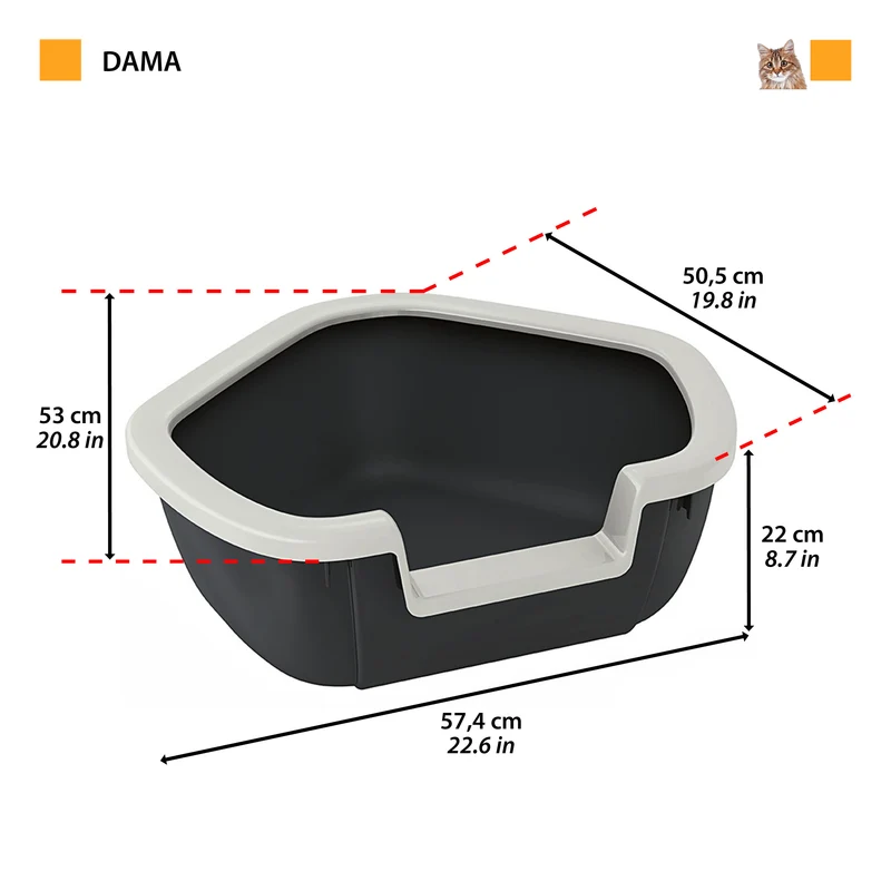 DAMA