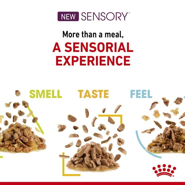 Royal Canin Feline Health Nutrition Sensory Smell Chunks In Gravy Cat Wet Food 85G - Pack of 12