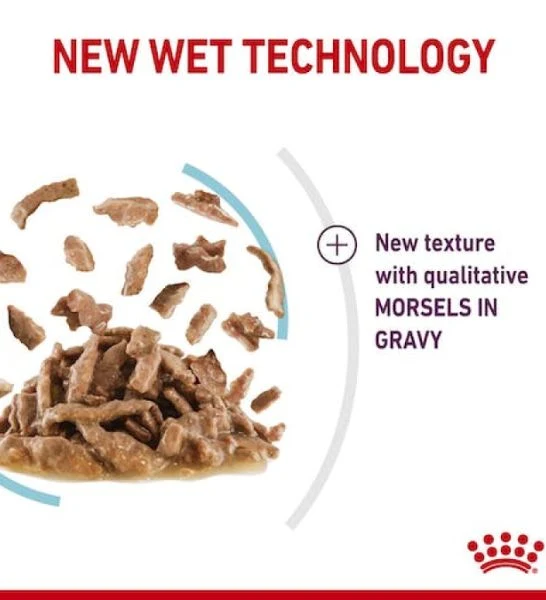 Royal Canin Feline Health Nutrition Sensory Feel Gravy Cat Wet Food 85G - Pack of 12