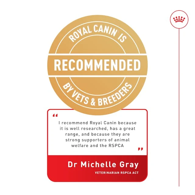 Royal Canin Indoor Sterilised 7+ in Chunks In Gravy Cat Wet Food 85G - Pack of 12
